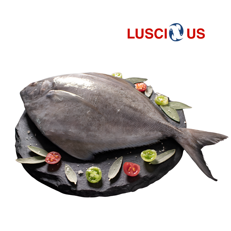 Black Pomfret fish