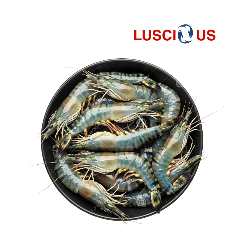 Tiger Prawns medium