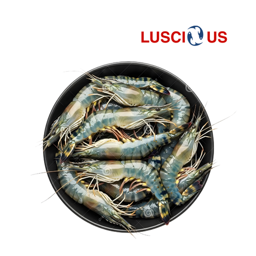 Tiger Prawns Big